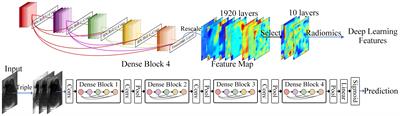 A cutting-edge deep learning-and-radiomics-based ultrasound nomogram for precise prediction of axillary lymph node metastasis in breast cancer patients ≥ 75 years